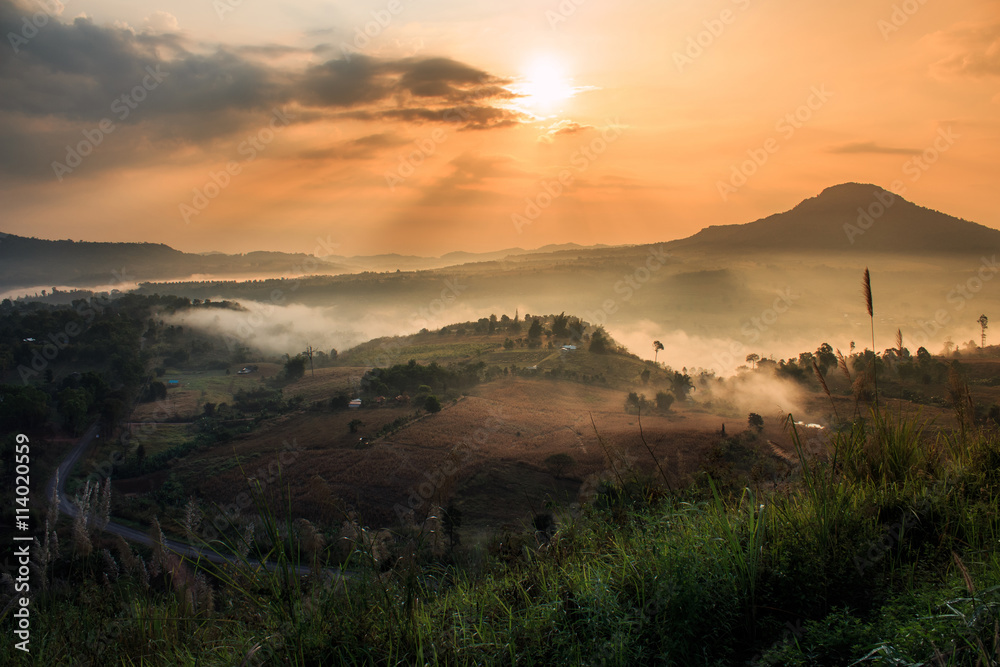 Obraz premium The landscape photo, beautiful sea fog in morning time at Khao Kho, Phetchabun in Thailand