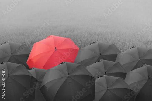 Red Umbrella in the green field