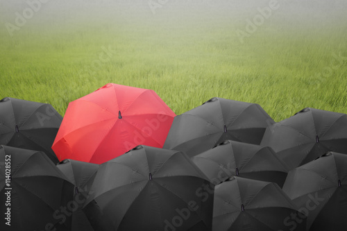 Red umbrella stand out from the crowd of many black and white um