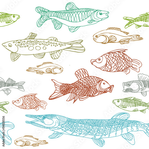 River and lake fish.seamless pattern. Sketch pike Chub  perch and head. The fishes ink and pen. Illustration stock vector.