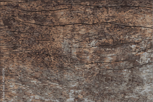 wood texture vector
