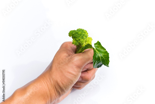 Vegetables raw food : hand holding Fresh broccoli sliced isolated on white background & space for your copy text. 