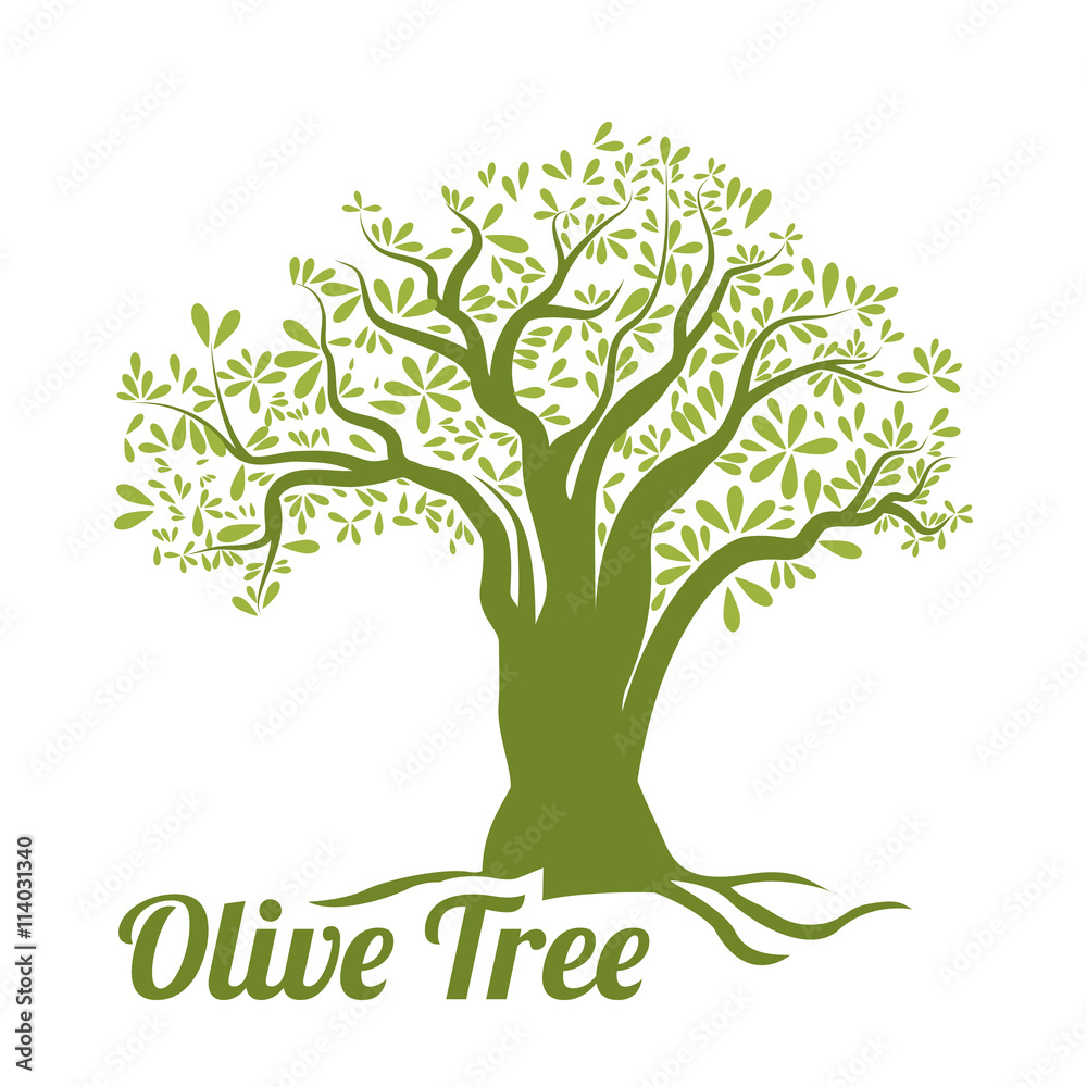 Obraz premium Olive oil design.