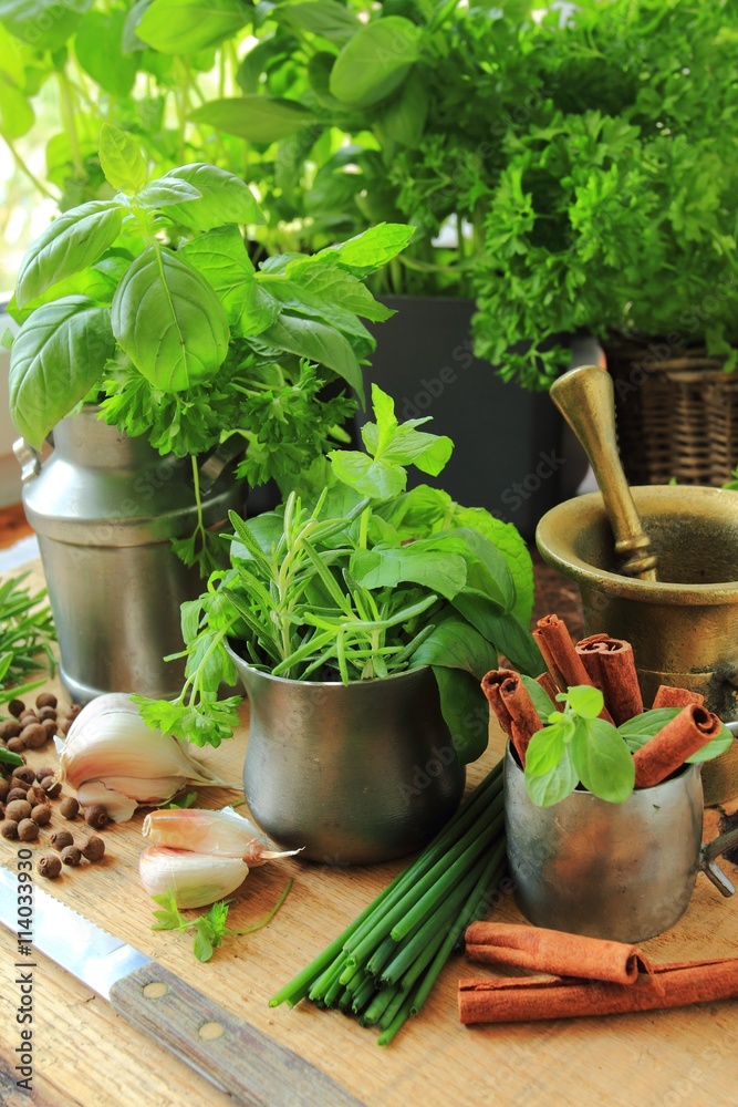 Fresh herbs from garden in the kitchen Fresh herbs from garden in the kitchen