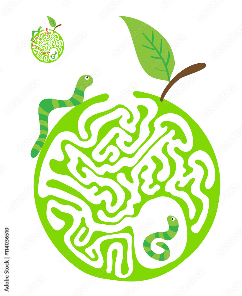 Maze puzzle for kids with caterpillars and apple. Labyrinth illustration, solution included. Maze puzzle for kids with caterpillars and apple. Labyrinth illustration, solution included.