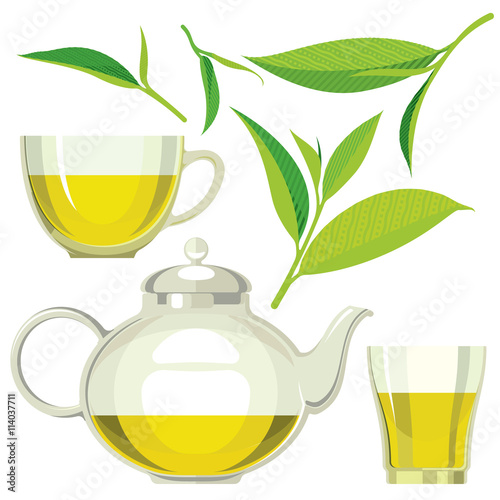 Green tea leaves, tea, cup, glass, flat illustration, set