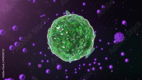 Mast cell
