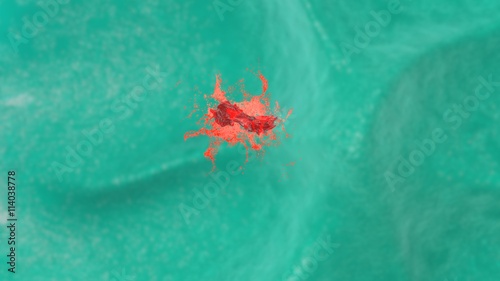 Photography Macrophage destroying bacteria