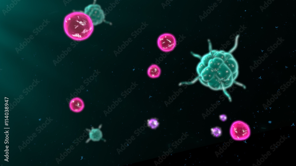 t cells and b cells immune response