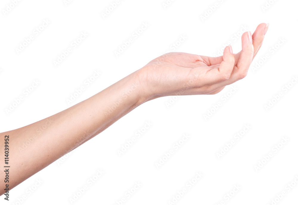 Hand isolated on white background Hand isolated on white background