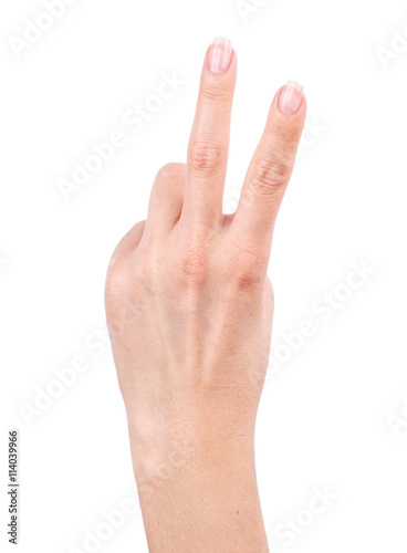 Hand isolated on a white background