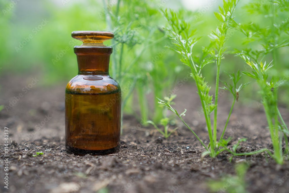 Liquid in chemical ware on a background of plants, fertilizers or pesticides in the garden.