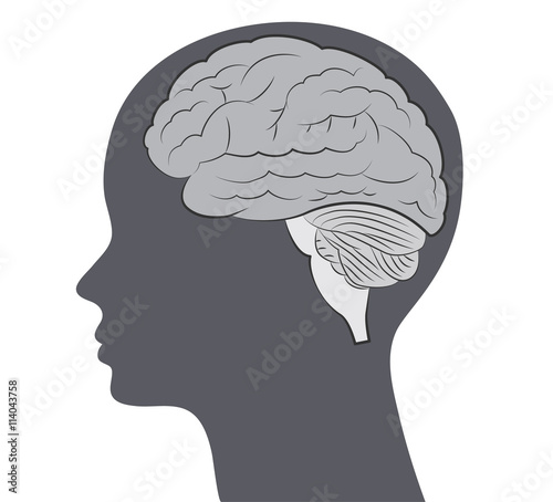 Vector brain and face silhouette illustration, eps 10.