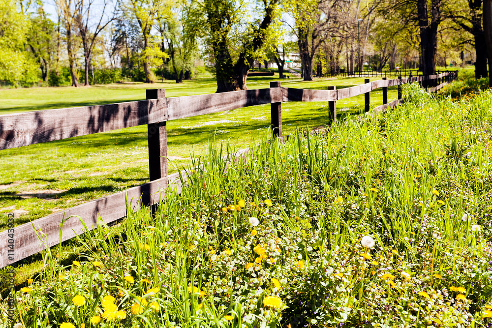 Fototapeta premium fence of wooden planks