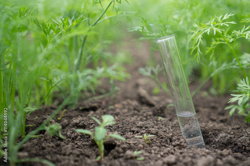 Liquid in chemical ware on a background of plants, fertilizers or pesticides in the garden. Liquid in chemical ware on a background of plants, fertilizers or pesticides in the garden.