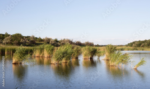 Landscape with lake, forest and blue sky