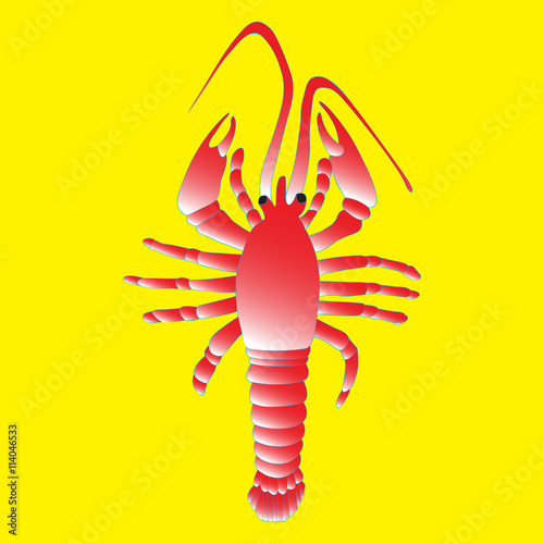 vector image of crayfish