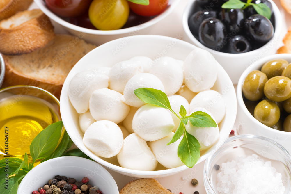 fresh ingredients for salad with mozzarella on white table fresh ingredients for salad with mozzarella on white table