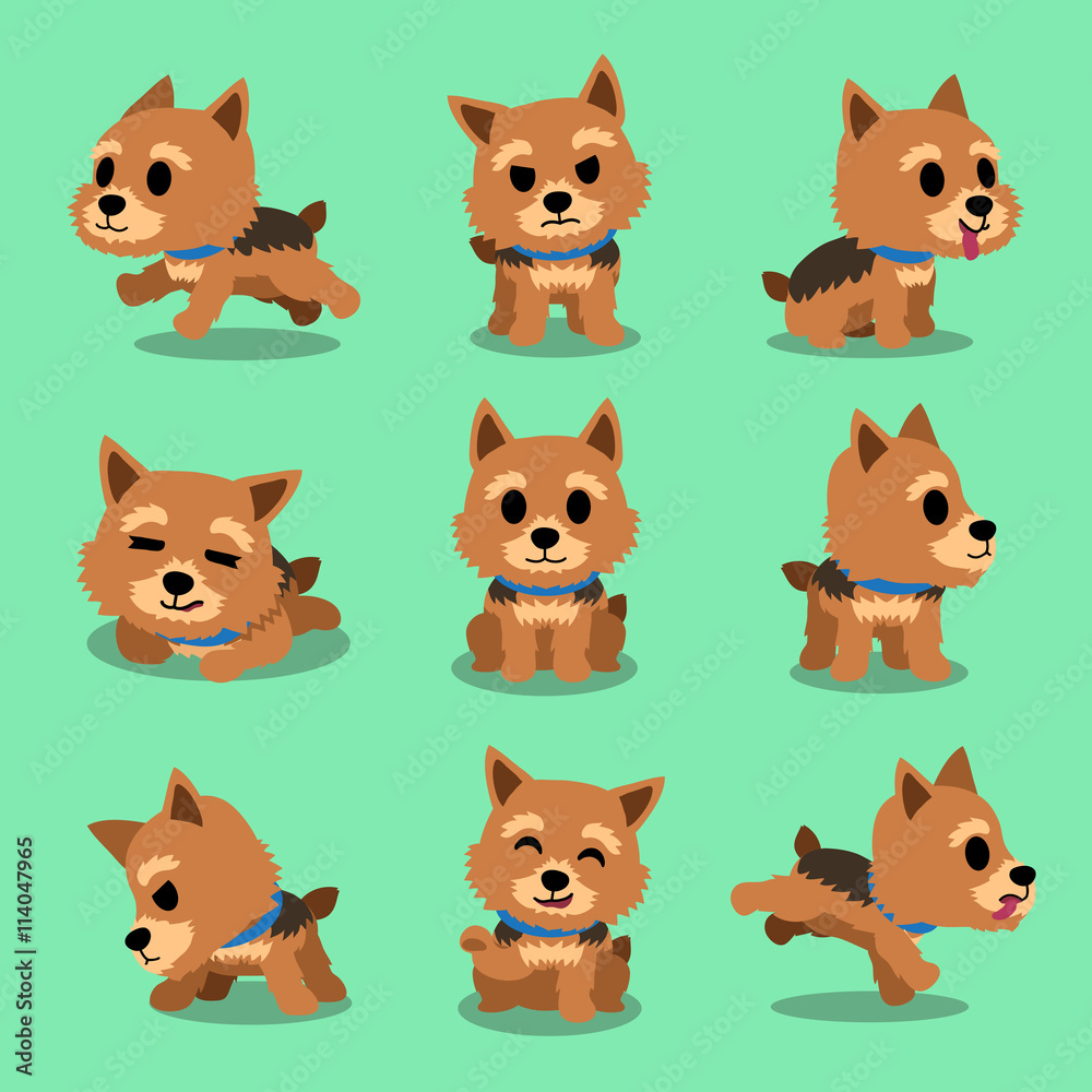 Cartoon character norwich terrier dog poses