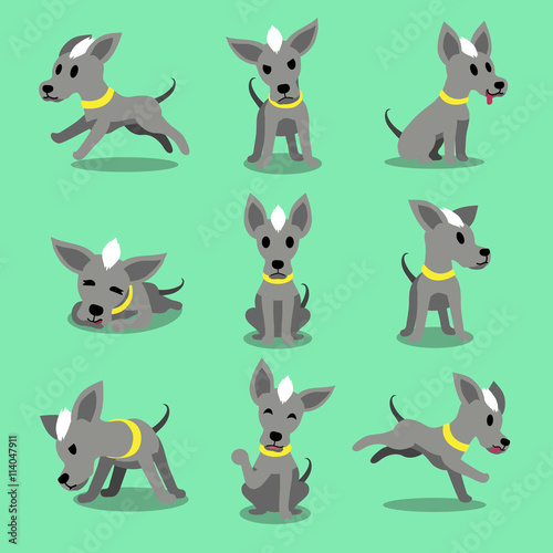 Cartoon character hairless dog poses