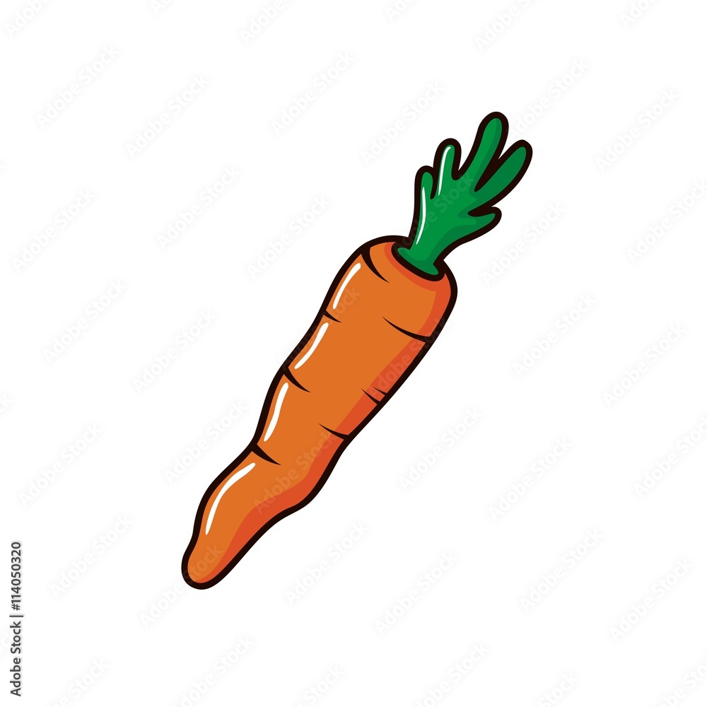 Carrot vector Carrot vector
