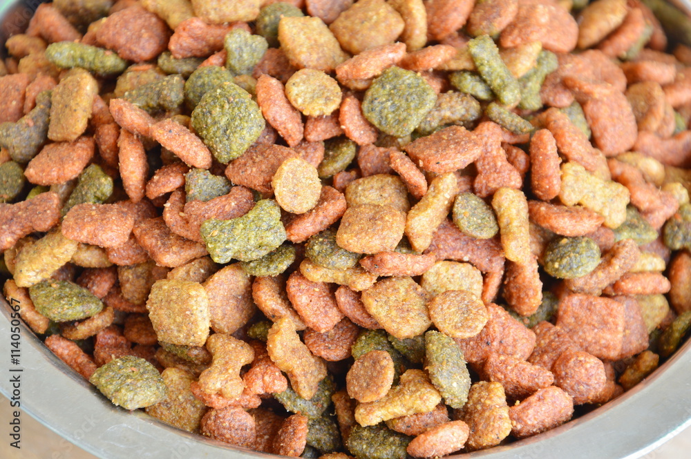 pet instant dry food in stainless bowl pet instant dry food in stainless bowl