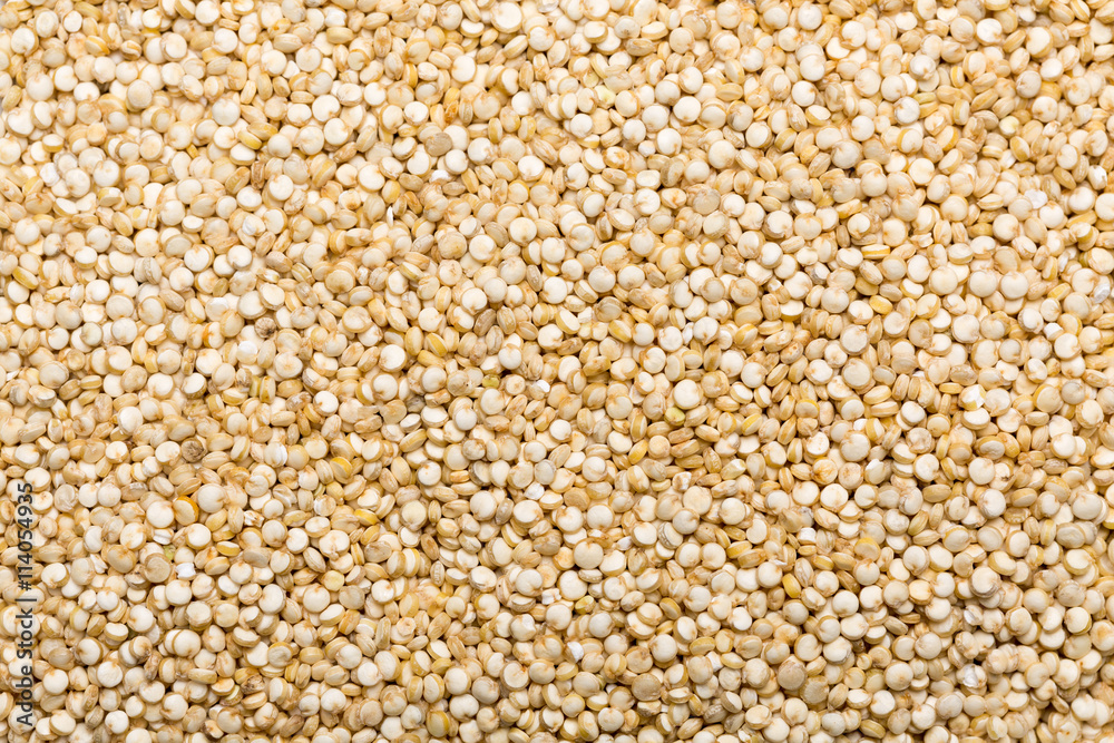 Quinoa Andenhirse den gesamten Bildbereich ausfüllend, Bildhint Quinoa Andenhirse den gesamten Bildbereich ausfüllend, Bildhint
