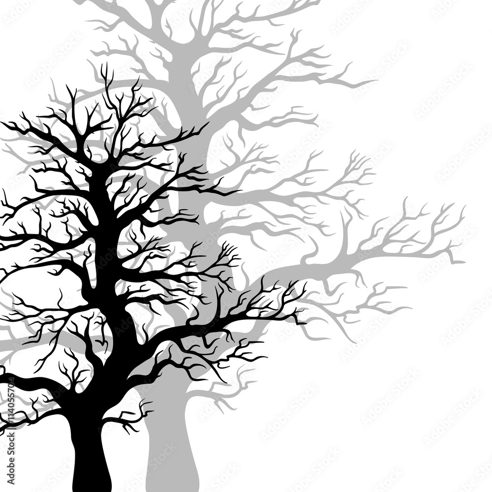 Vector trees silhouette.