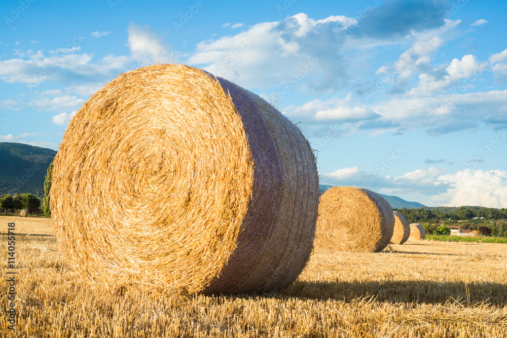 Close up of a straw bale on a field, Spain