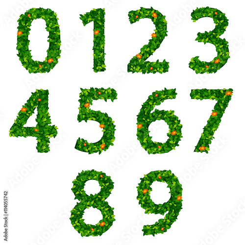 Number symbol of green fresh leaf isolated on a white