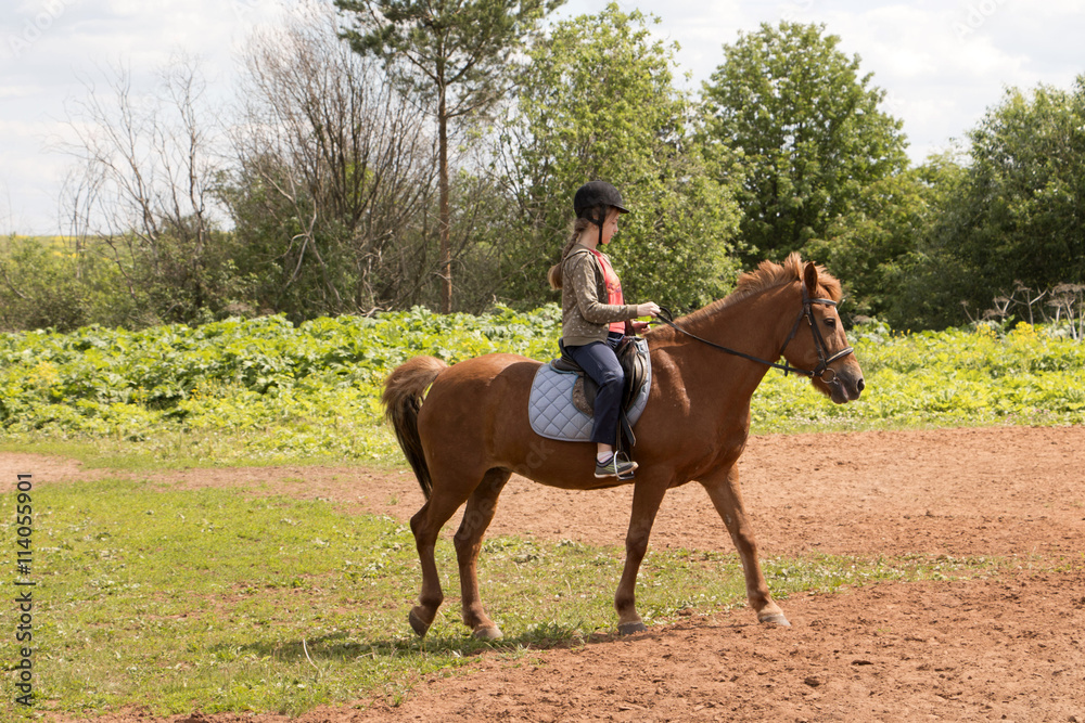 Girl rides on horse in a field in a day Girl rides on horse in a field in a day