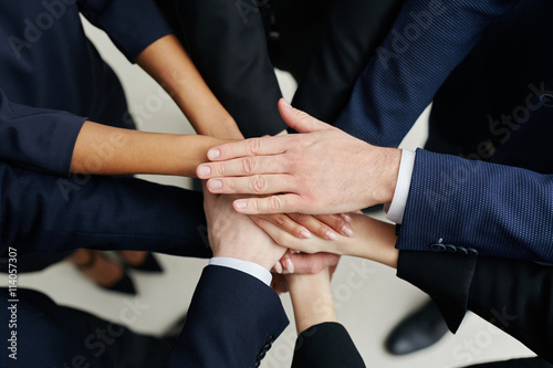 Wallpaper Mural Team work concept. Group of business people joining hands - picture from above Torontodigital.ca