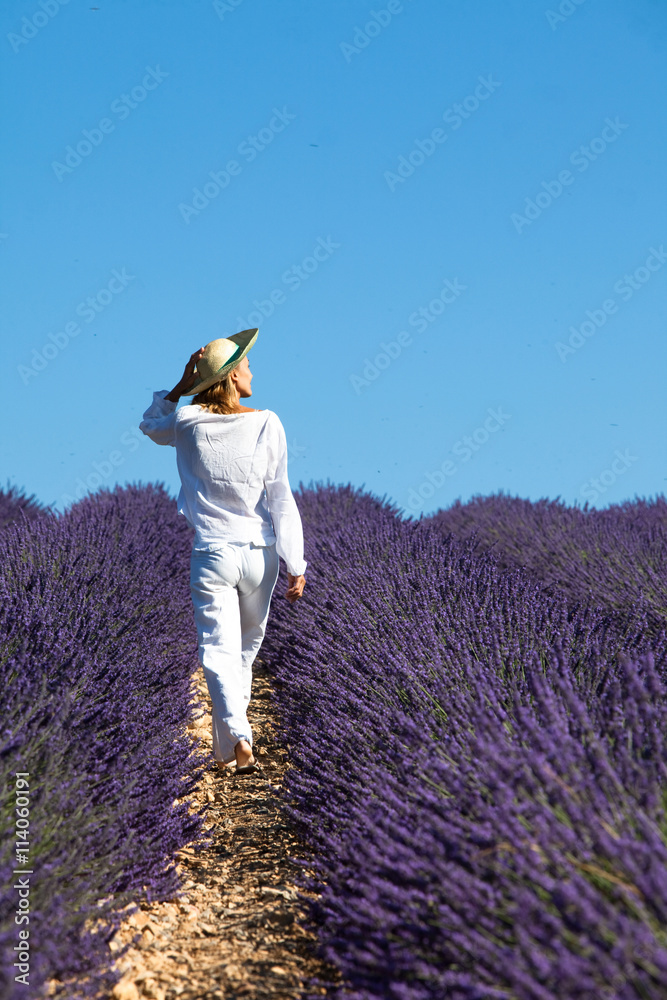 Fototapeta premium femme qui se promène dans des champs de lavande