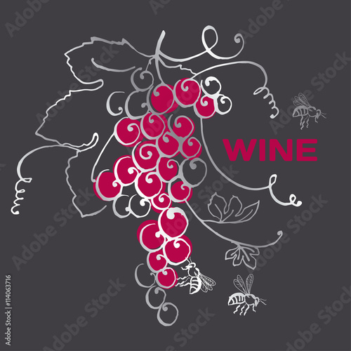 grape bunch for wine label. vector hand drawn illustration