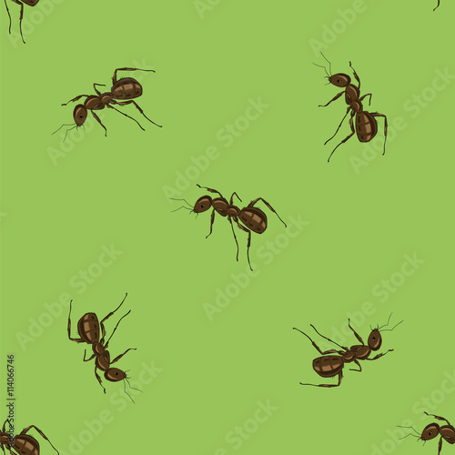 Seamless Animal Pattern. Ant Isolated on Green Background.
