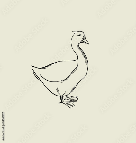 one goose  image. food hand drawn sketch vector illustration.
