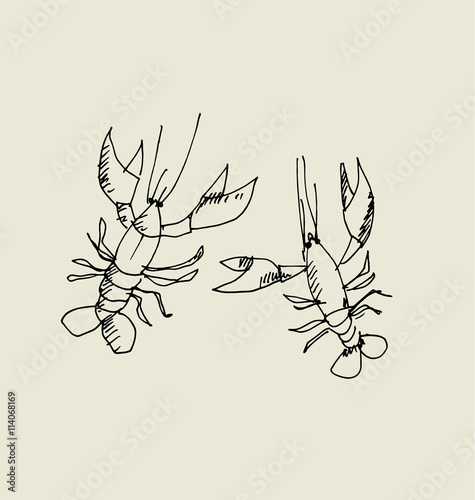 isolated lobster image. food hand drawn sketch vector illustrati