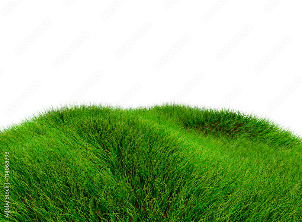 3D green hill of grass - isolated over a white background 3D green hill of grass - isolated over a white background