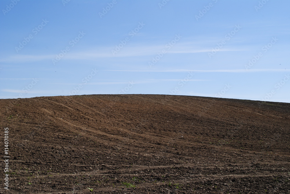 Field Field
