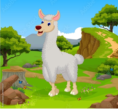 funny lama cartoon in the jungle with landscape background