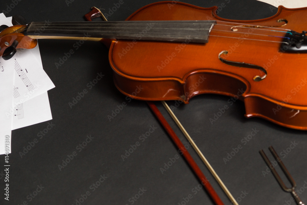 Fototapeta premium Violin