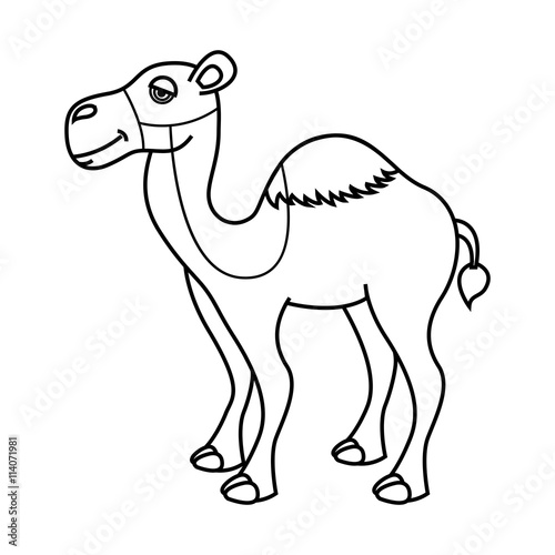 camel desert isolated icon design