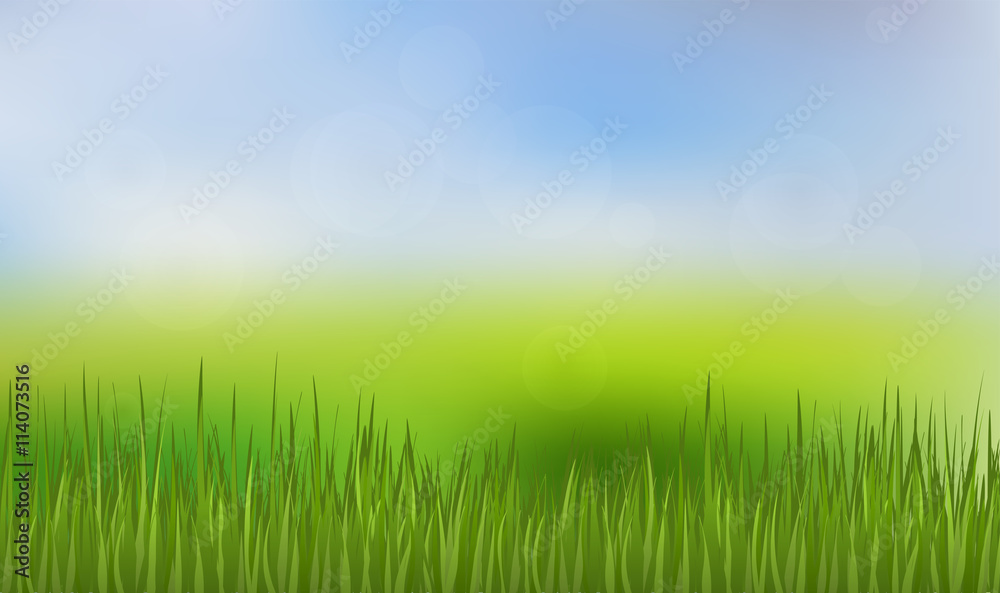Green Grass and Blue Sky Background