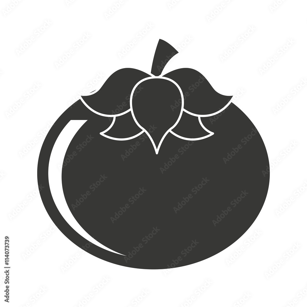 fresh tomato isolated icon design fresh tomato isolated icon design