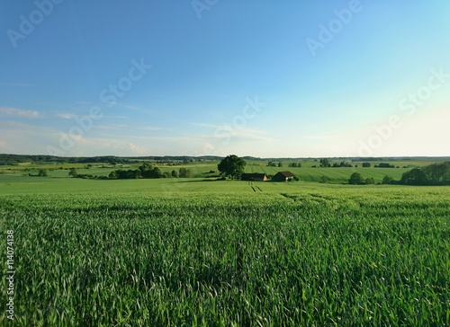 Fototapeta Naklejka Na Ścianę i Meble -  Warmiński krajobraz