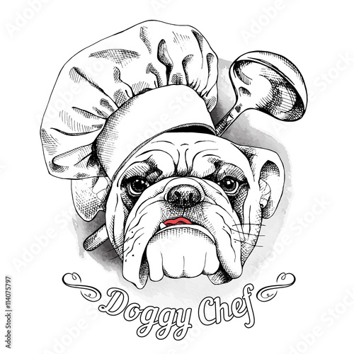 The poster with the image of dog Bulldog in the hat of chef and with the ladle. Vector illustration.