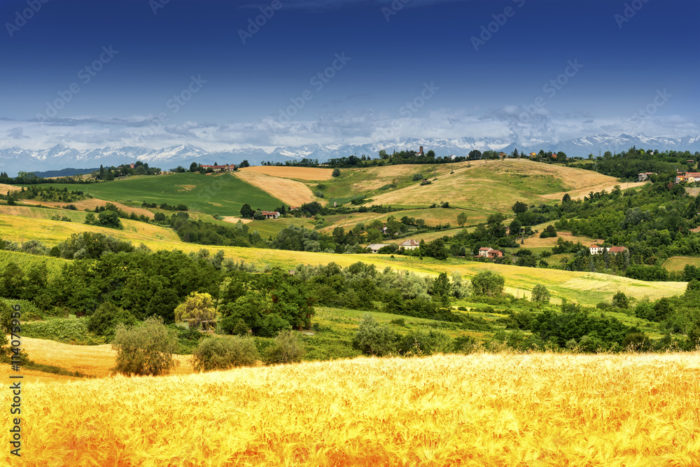 Obraz premium Monferrato (Italy): landscape