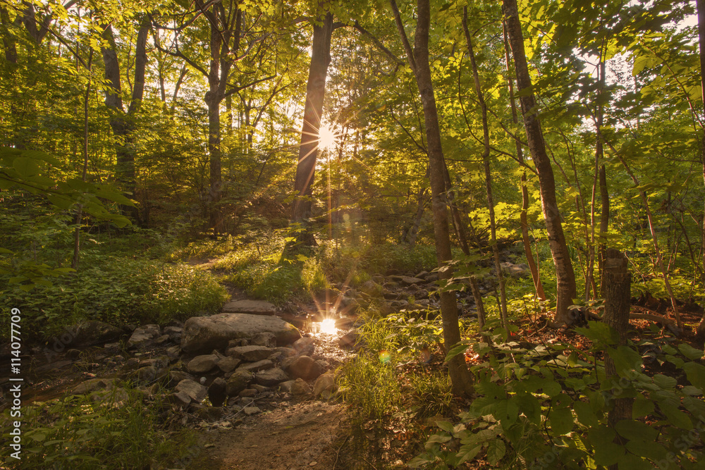 Sunset in Springside Park in Pittsfield, Massachusetts. Sunset in Springside Park in Pittsfield, Massachusetts.