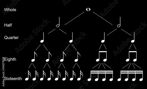 Types of musical  notes