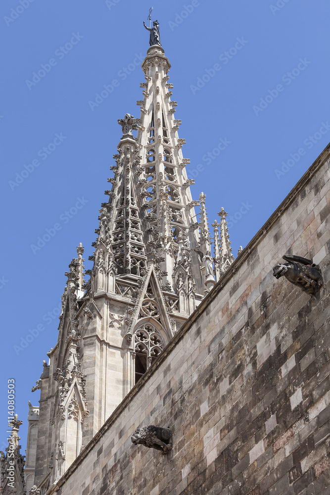 Details of Barcelona Cathedral in Gothic Quarter, Spain